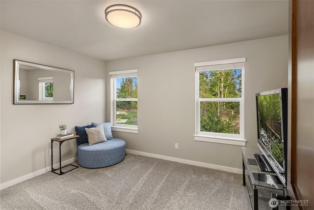 sitting room featuring carpet flooring and baseboards