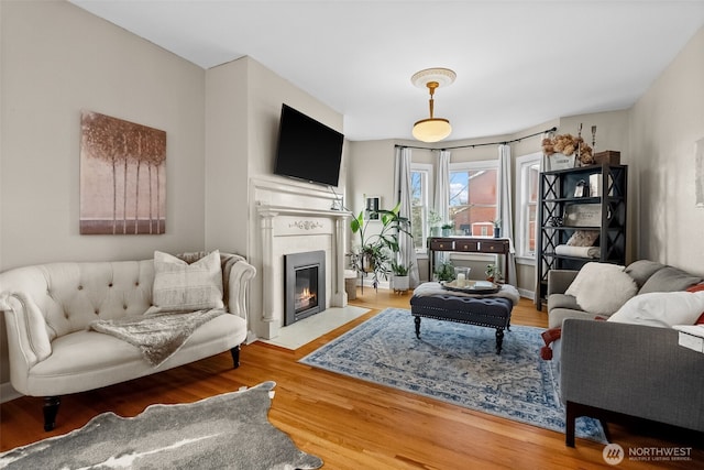 living room featuring a fireplace with flush hearth and wood finished floors