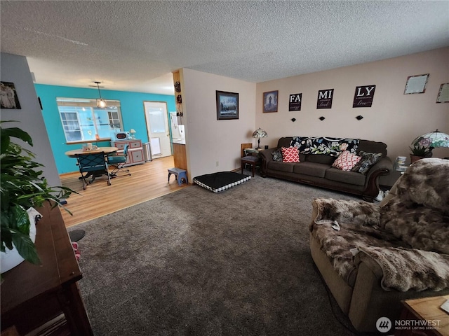 carpeted living room featuring a textured ceiling and wood finished floors