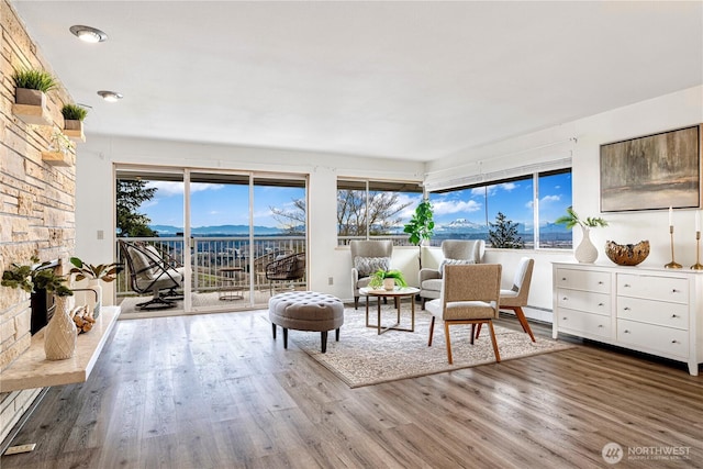 unfurnished room with a wealth of natural light, a baseboard radiator, and wood finished floors