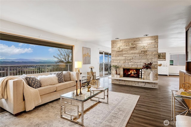 living area with a baseboard heating unit, a mountain view, a stone fireplace, and wood finished floors