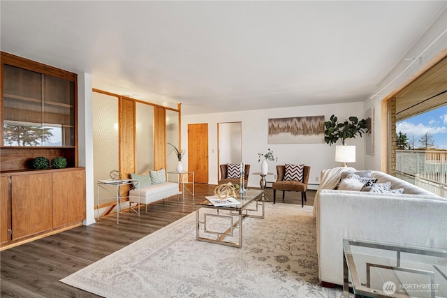 living room featuring a baseboard heating unit and wood finished floors