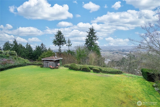 view of yard featuring a shed and an outdoor structure