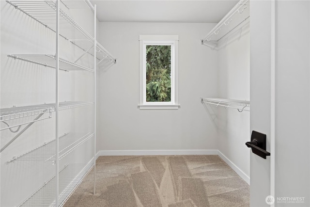 spacious closet with carpet