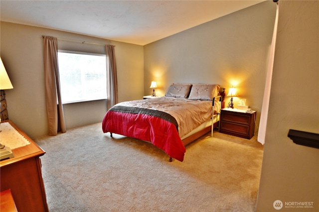 bedroom featuring carpet