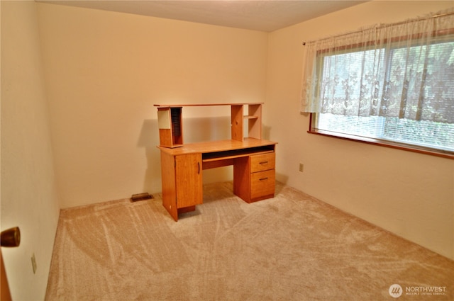 unfurnished office featuring light carpet