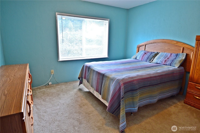 bedroom with carpet