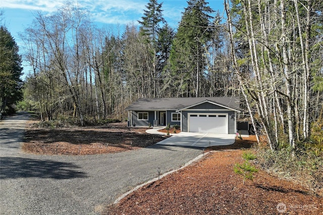 view of front facade featuring a garage and driveway