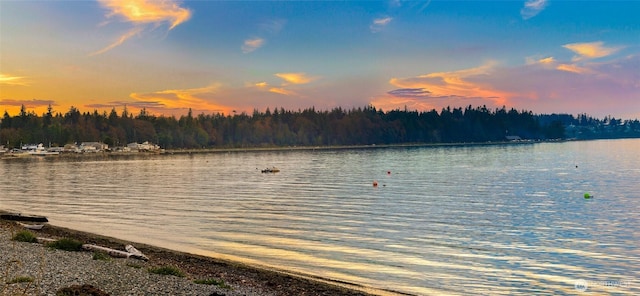 property view of water with a wooded view