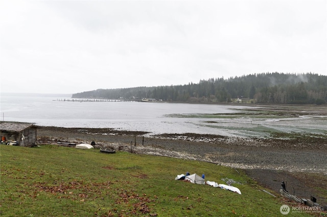 water view with a wooded view