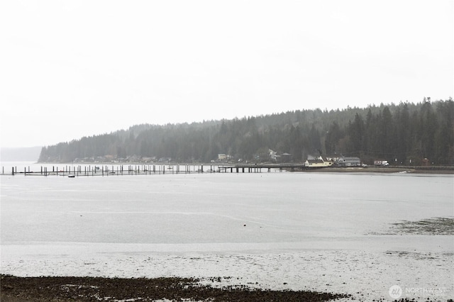 view of property's community with a forest view and a water view