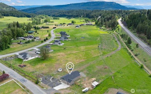 bird's eye view with a rural view, a wooded view, and a mountain view