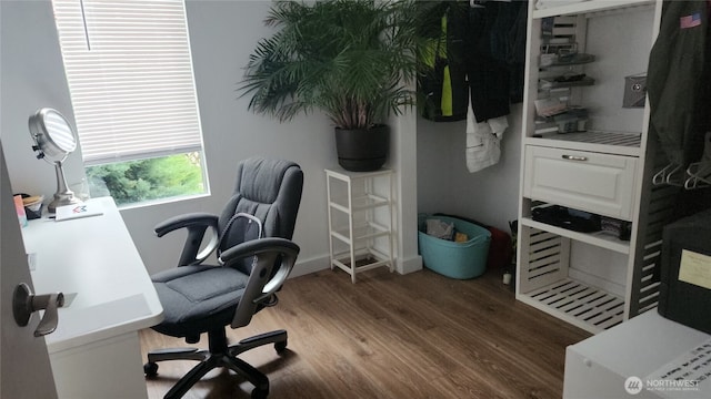 home office featuring wood finished floors