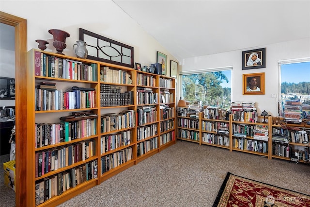 sitting room with bookshelves, carpet, and vaulted ceiling