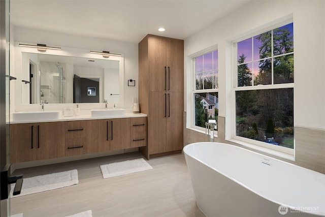 bathroom featuring wood finished floors, a sink, a freestanding bath, and double vanity