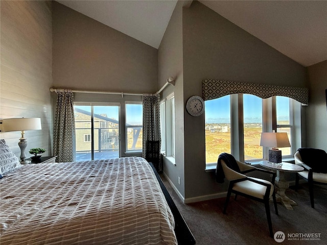 bedroom featuring baseboards, multiple windows, carpet flooring, and access to outside