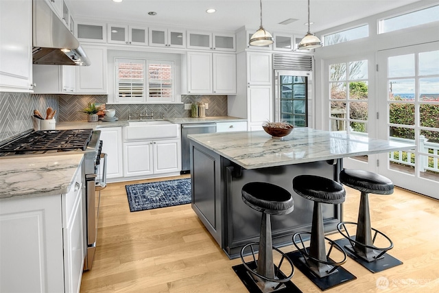 kitchen with a sink, light wood-style floors, under cabinet range hood, white cabinetry, and premium appliances