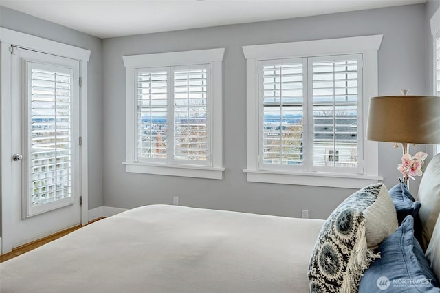 bedroom featuring multiple windows