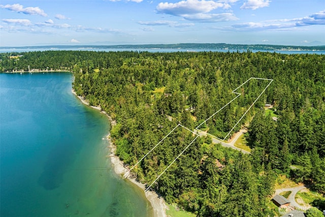 bird's eye view featuring a water view and a view of trees