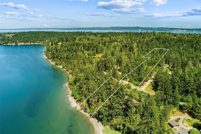 bird's eye view featuring a water view and a view of trees