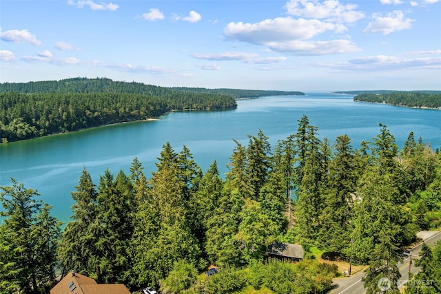 water view featuring a wooded view