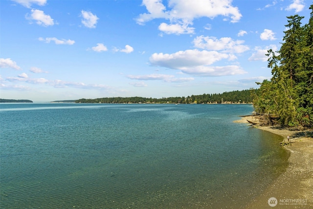 property view of water