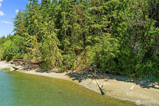 property view of water featuring a forest view