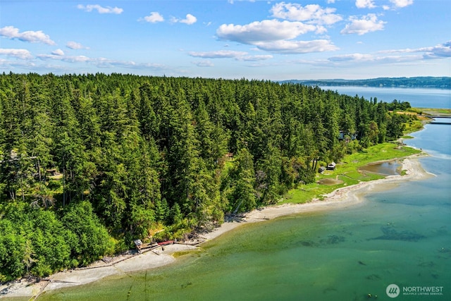 drone / aerial view featuring a water view and a view of trees