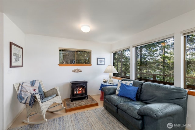 living area featuring a wood stove