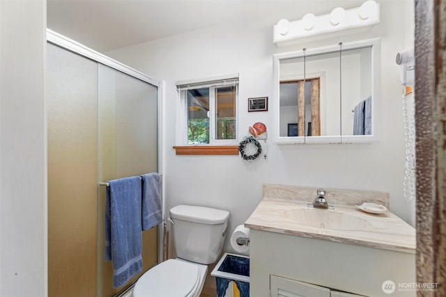 bathroom featuring toilet, a stall shower, and vanity