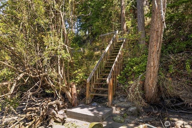 view of yard with stairway and a wooded view