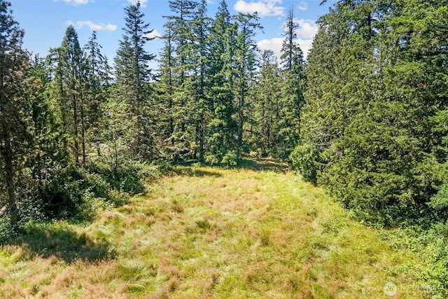 view of landscape featuring a wooded view