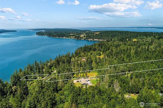 bird's eye view featuring a water view and a wooded view