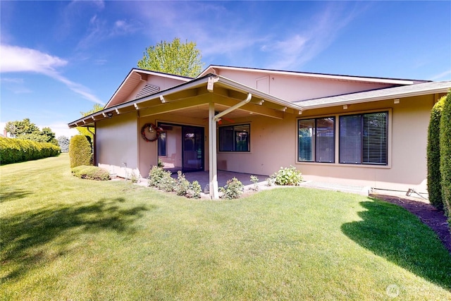 back of house with a yard, a patio area, and stucco siding