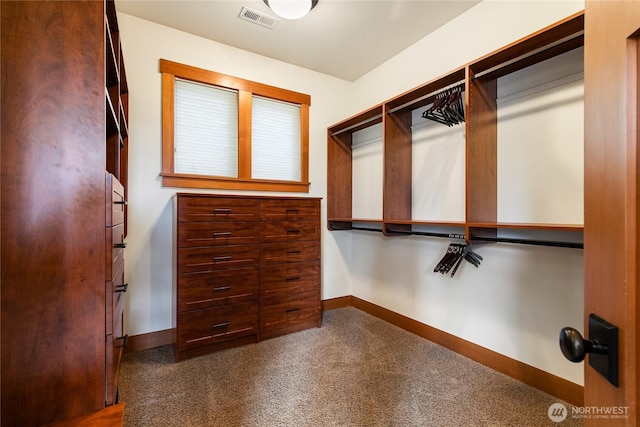 spacious closet with carpet and visible vents