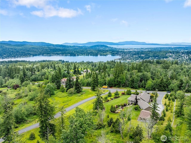 drone / aerial view featuring a forest view and a water and mountain view