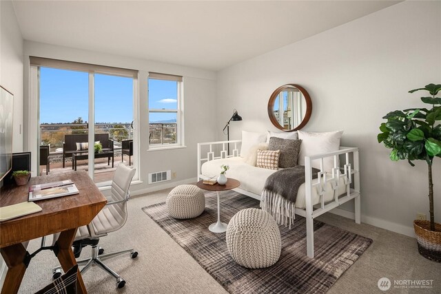 carpeted bedroom featuring visible vents and baseboards