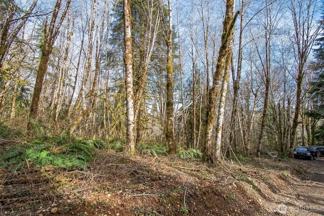 0XX W Reller Rd, Shelton WA, 98584 land for sale