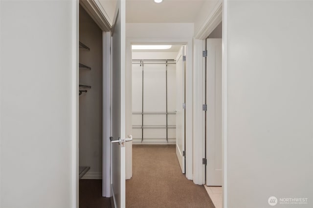 hallway featuring carpet floors