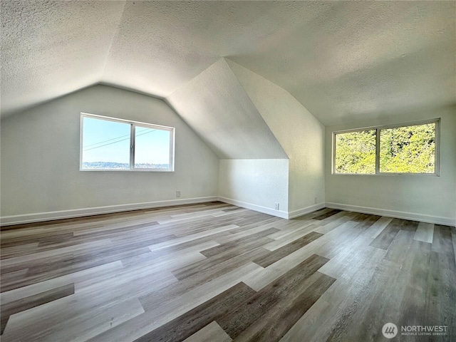 additional living space with a healthy amount of sunlight, a textured ceiling, and wood finished floors