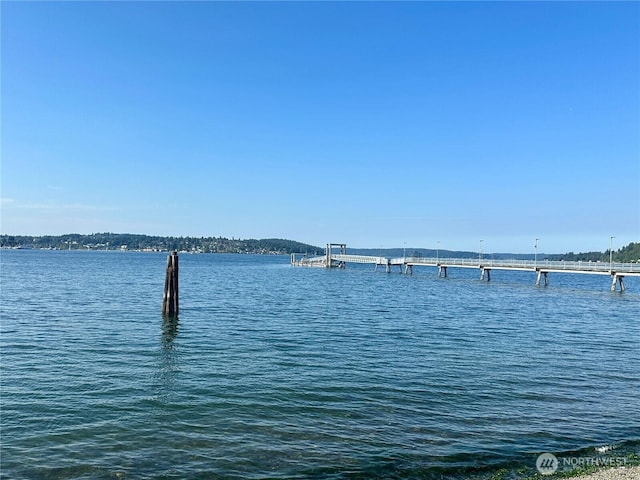 water view with a boat dock