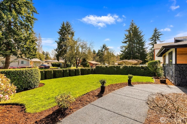 view of yard featuring a patio area