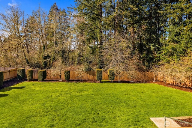 view of yard with a fenced backyard