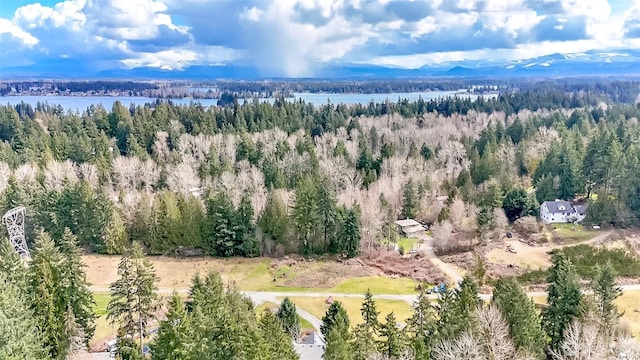 bird's eye view with a view of trees and a water view