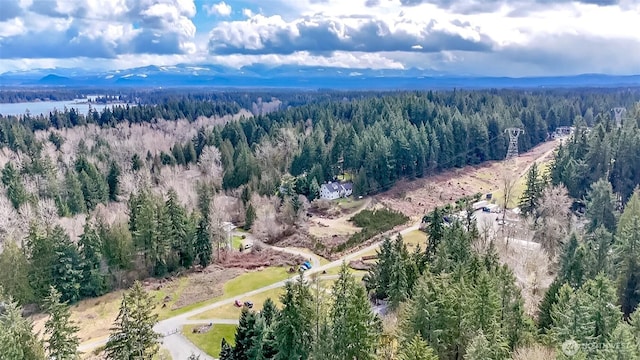 bird's eye view with a view of trees and a mountain view