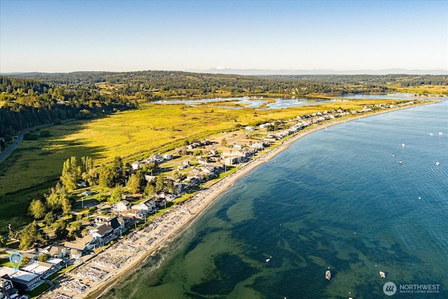 drone / aerial view featuring a water view and a wooded view