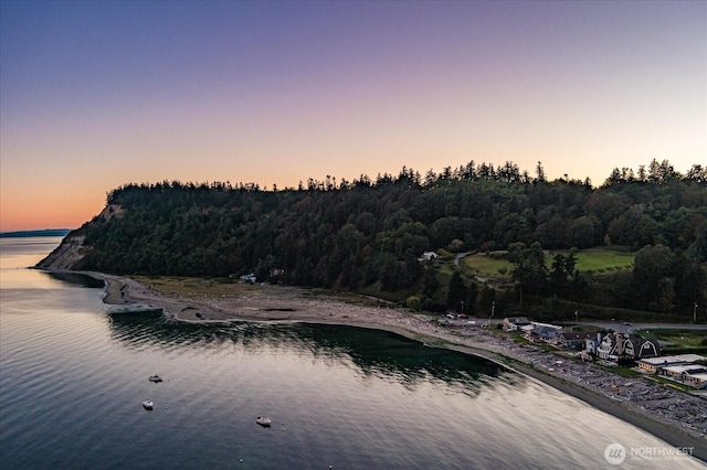 water view with a wooded view