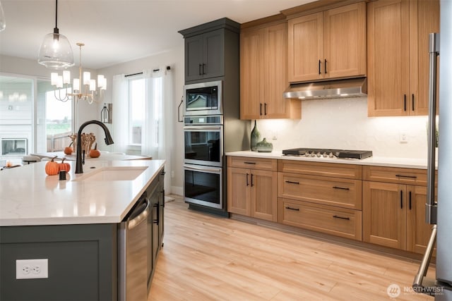 kitchen featuring backsplash, light wood-style flooring, appliances with stainless steel finishes, a sink, and under cabinet range hood