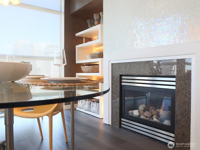 interior space with a glass covered fireplace, a healthy amount of sunlight, and dark wood-style flooring