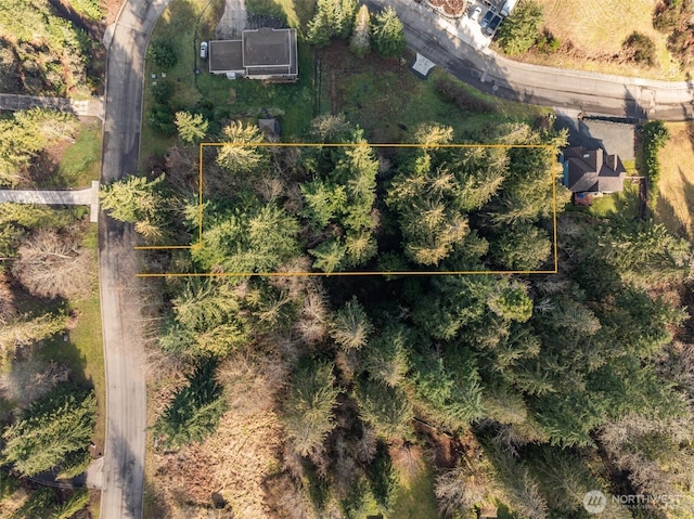 9999 Delguzzi Dr, Port Angeles WA, 98362 land for sale